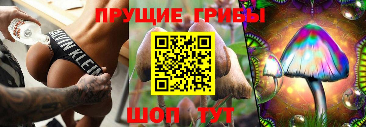 Ростов Великий  Псилоцибиновые грибы прущие грибы  Вход с VPN 